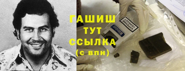 таблы Гусев