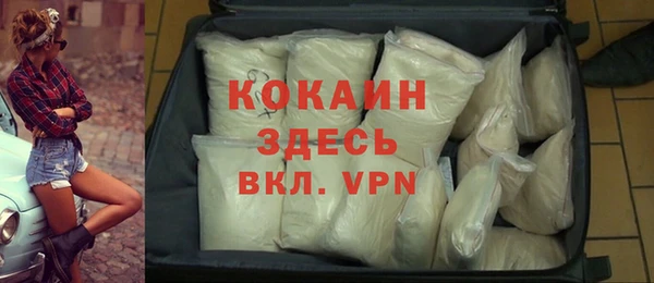 таблы Гусев