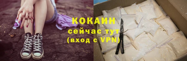 амф Гусиноозёрск
