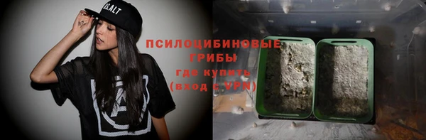 таблы Гусев