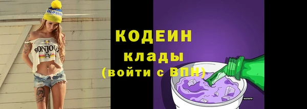 амф Гусиноозёрск