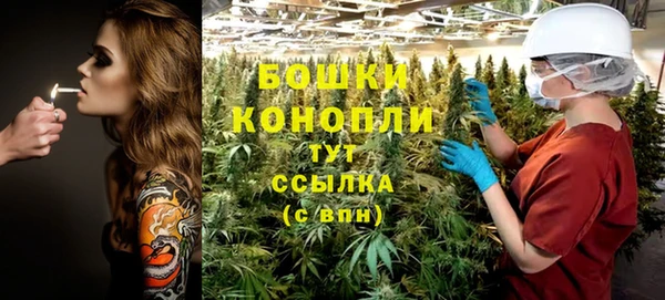 таблы Гусев