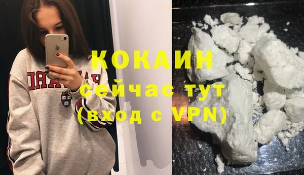 амф Гусиноозёрск