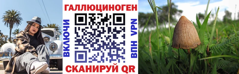 Галлюциногенные грибы Psilocybine cubensis  Купить закладки  Новая Ляля 