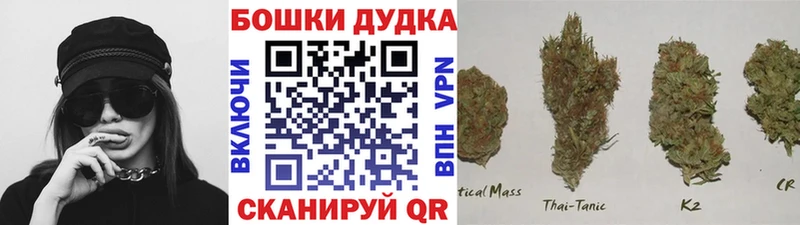 Купить где  Новая Ляля  Конопля ГИДРОПОН 